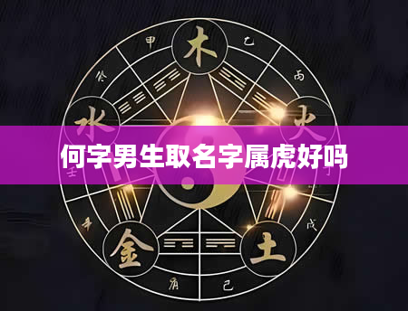 何字男生取名字属虎好吗