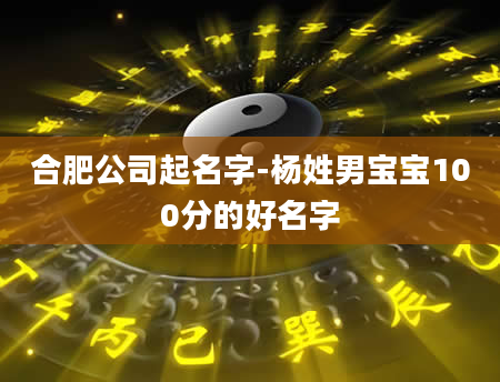 合肥公司起名字-杨姓男宝宝100分的好名字