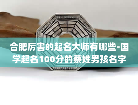 合肥厉害的起名大师有哪些-国学起名100分的蔡姓男孩名字