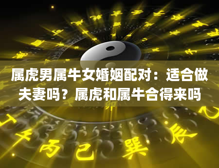 属虎男属牛女婚姻配对：适合做夫妻吗？属虎和属牛合得来吗