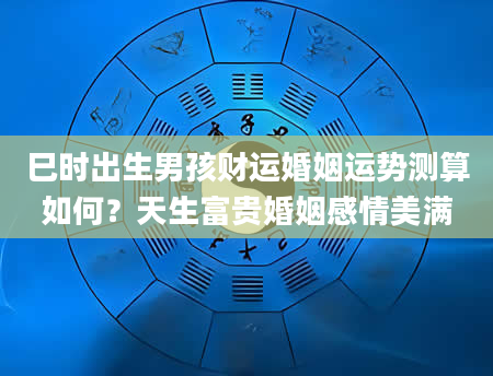 巳时出生男孩财运婚姻运势测算如何？天生富贵婚姻感情美满