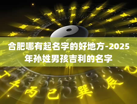 合肥哪有起名字的好地方-2025年孙姓男孩吉利的名字