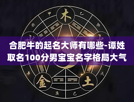 合肥牛的起名大师有哪些-谭姓取名100分男宝宝名字格局大气