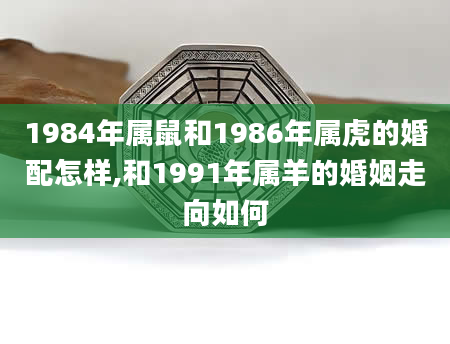 1984年属鼠和1986年属虎的婚配怎样,和1991年属羊的婚姻走向如何