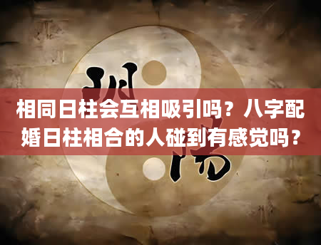 相同日柱会互相吸引吗？八字配婚日柱相合的人碰到有感觉吗？