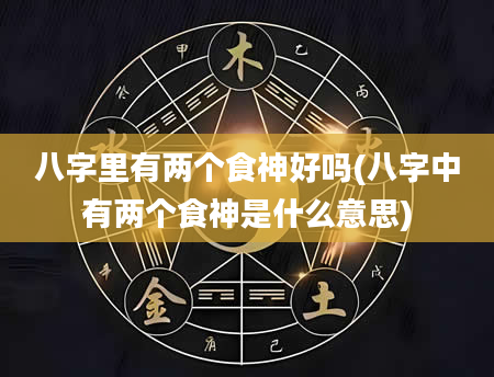 八字里有两个食神好吗(八字中有两个食神是什么意思)