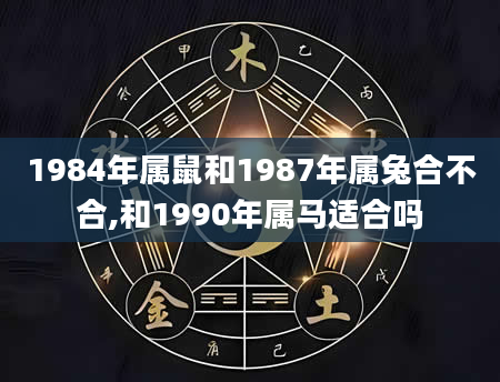 1984年属鼠和1987年属兔合不合,和1990年属马适合吗