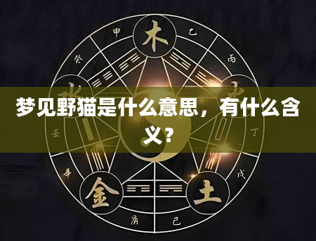 梦见野猫是什么意思，有什么含义？