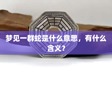 梦见一群蛇是什么意思，有什么含义？