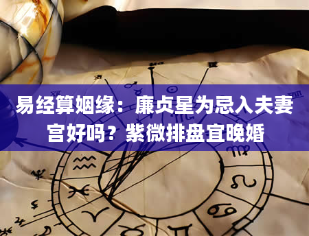 易经算姻缘：廉贞星为忌入夫妻宫好吗？紫微排盘宜晚婚