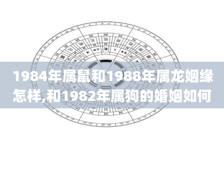 1984年属鼠和1988年属龙姻缘怎样,和1982年属狗的婚姻如何