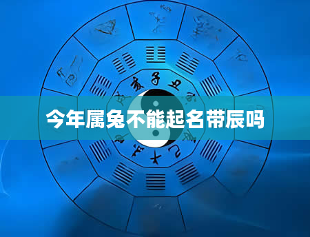 今年属兔不能起名带辰吗