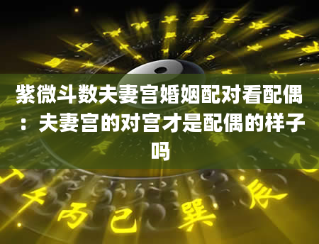 紫微斗数夫妻宫婚姻配对看配偶：夫妻宫的对宫才是配偶的样子吗