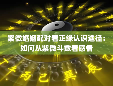 紫微婚姻配对看正缘认识途径：如何从紫微斗数看感情