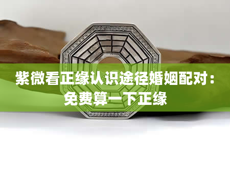紫微看正缘认识途径婚姻配对：免费算一下正缘