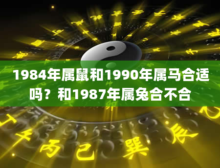 1984年属鼠和1990年属马合适吗？和1987年属兔合不合