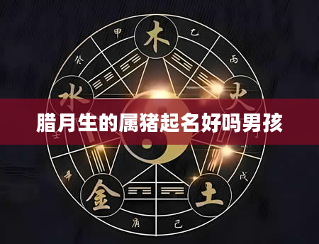 腊月生的属猪起名好吗男孩