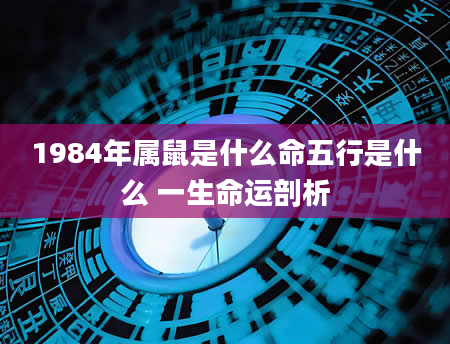 1984年属鼠是什么命五行是什么 一生命运剖析