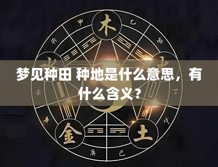 梦见种田 种地是什么意思，有什么含义？