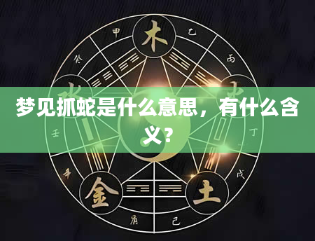 梦见抓蛇是什么意思，有什么含义？
