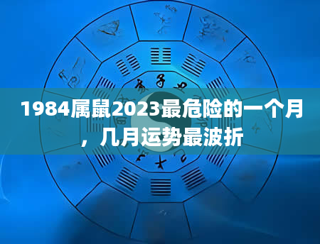 1984属鼠2023最危险的一个月，几月运势最波折