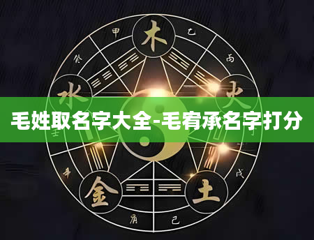 毛姓取名字大全-毛宥承名字打分