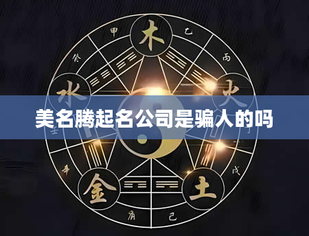 美名腾起名公司是骗人的吗