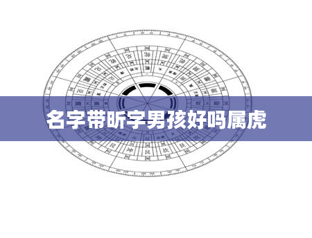 名字带昕字男孩好吗属虎