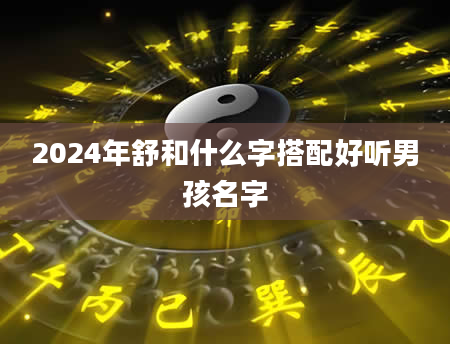 2024年舒和什么字搭配好听男孩名字