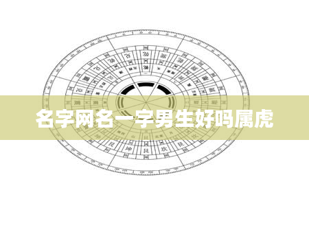 名字网名一字男生好吗属虎