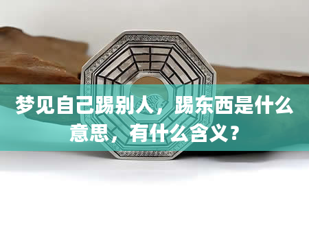 梦见自己踢别人，踢东西是什么意思，有什么含义？