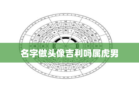 名字做头像吉利吗属虎男