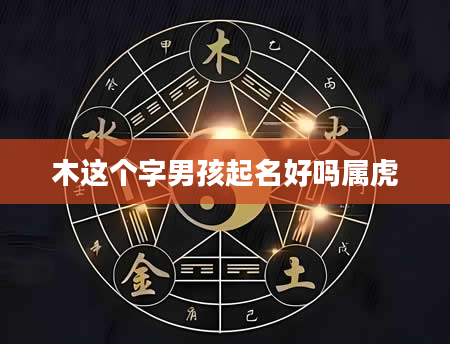 木这个字男孩起名好吗属虎