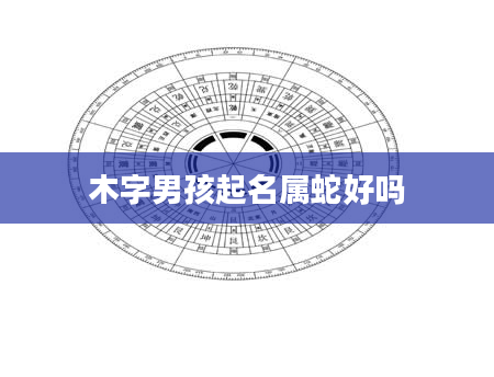 木字男孩起名属蛇好吗