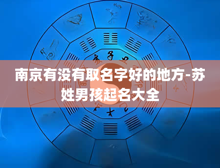 南京有没有取名字好的地方-苏姓男孩起名大全