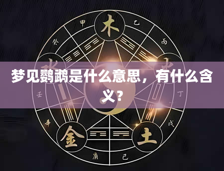 梦见鹦鹉是什么意思，有什么含义？