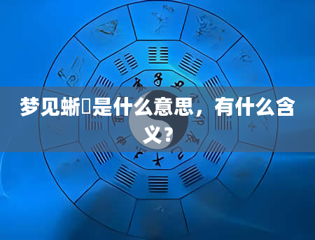 梦见蜥蝪是什么意思，有什么含义？
