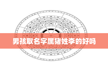 男孩取名字属猪姓李的好吗