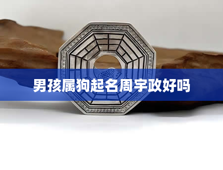 男孩属狗起名周宇政好吗