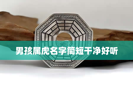 男孩属虎名字简短干净好听