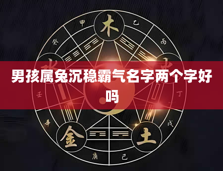 男孩属兔沉稳霸气名字两个字好吗