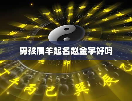 男孩属羊起名赵金宇好吗