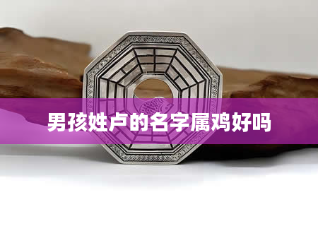 男孩姓卢的名字属鸡好吗