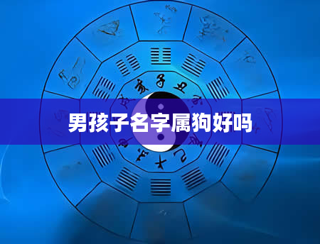 男孩子名字属狗好吗