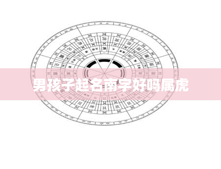 男孩子起名南字好吗属虎