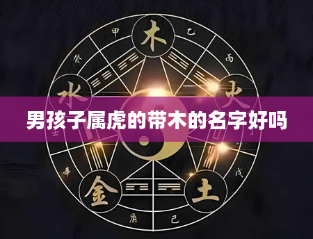 男孩子属虎的带木的名字好吗