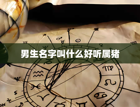 男生名字叫什么好听属猪