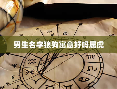 男生名字狼狗寓意好吗属虎