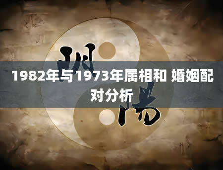 1982年与1973年属相和 婚姻配对分析