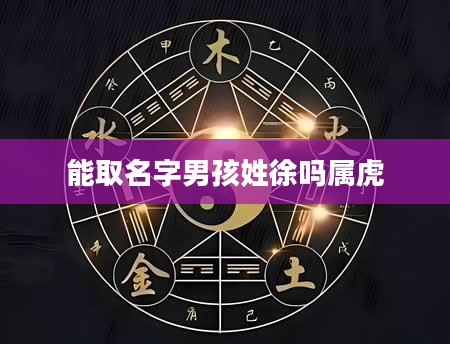 能取名字男孩姓徐吗属虎